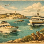 Private Charter Versus Ferry: Which Suits Rottnest?